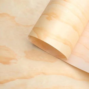 May include: A close-up of a roll of light-colored wood veneer. The wood grain is visible, with subtle variations in color from light tan to a slightly darker brown. The veneer is partially rolled, revealing the inside.