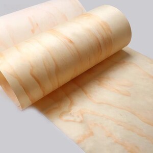 May include: Close-up of two rolls of light-colored wood veneer. The wood grain is visible, with streaks of light brown and tan hues. The veneer is unrolled in the foreground, revealing the natural wood pattern. The background is a solid, neutral color.