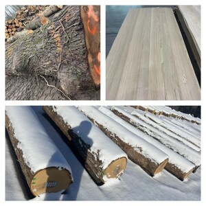 Pu&ograve; includere: Una raccolta di immagini che mostrano legname grezzo e prodotti in legno. Un'immagine mostra tronchi appena tagliati con corteccia ruvida e segni arancioni. Un'altra mostra pannelli di legno lisci impilati. Una terza immagine presenta tronchi coperti di neve.