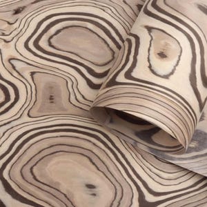 May include: Close-up of a sheet of wood veneer with a unique, swirling grain pattern. The veneer features alternating bands of light beige and dark brown, creating a natural, organic design. A portion of the veneer is rolled up, revealing the layered structure.