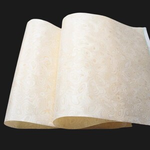 May include: Two sheets of light-coloured wood veneer with a swirling, organic pattern. The veneer has a natural, light brown colour with darker brown details, and is slightly curled, revealing the underside.