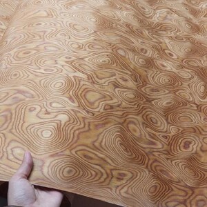 May include: A sheet of wood veneer with a distinctive, swirling grain pattern. The wood has a warm, light brown colour with darker brown and reddish-brown accents, creating a natural, organic look. The veneer is held by a hand.