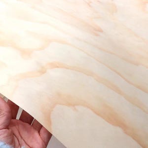 May include: Close-up of a light-colored wood grain pattern. The wood has a natural, light beige color with darker, reddish-brown streaks. The wood is held by a hand.