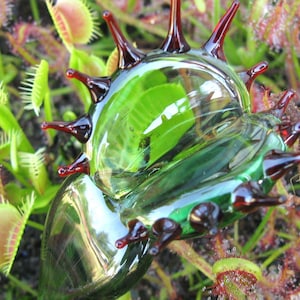 May include: A glass sculpture with a green and red colour scheme. The sculpture is shaped like a shell with sharp, pointed edges. The sculpture is surrounded by green plants.