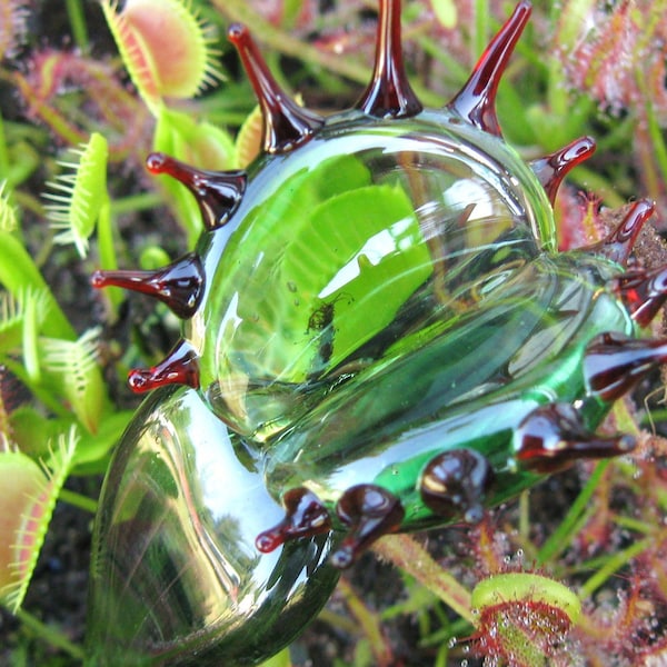 Venus atrapamoscas de cristal transparente verde