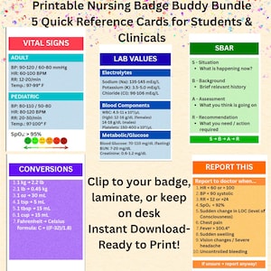 Nursing Badge Buddy Bundle | Vital Signs, Labs, SBAR, Conversions (Printable)
