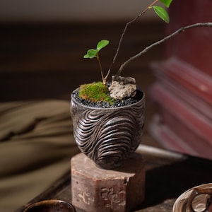 Op de afbeelding: Een kleine, donkergekleurde keramische bonsai-pot met een golfachtig patroon, met een miniatuurboom met groene bladeren en een kleine steen. De pot staat op een verweerd, roodbruin blok. Een kleine, bruine keramische kom staat op de voorgrond.
