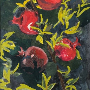 Melograni, sfondo scuro