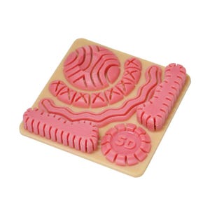 Könnte beinhalten: Ein rosa Übungspad für chirurgische Nähte mit verschiedenen Inzisionsmustern und -formen. Das Pad ist beige und weist mehrere rosa, strukturierte Bereiche auf, die zum Üben von Nahttechniken bestimmt sind. Die Formen umfassen Kreise, Linien und andere geometrische Formen.