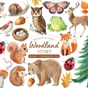 May include: A collection of watercolour woodland illustrations featuring a bear, fox, deer, owl, hedgehog, squirrel, snail, frog, birds, ladybugs, mushrooms, acorns, pinecone, nest with eggs, tree stump, pine tree, and autumn leaves with the text Woodland Story.