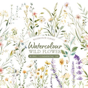 May include: A watercolour clipart image of wildflowers in shades of pink, yellow, and purple. The image includes text that reads "Watercolour Wild Flower" and "30 PNG / Commercial Use". The flowers are set against a white background.
