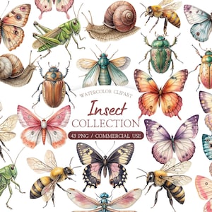 Spring Insect Clipart Bundle – Bees, Spiders, and Floral Elements (Clipart Bundle)