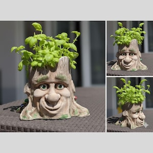 May include: A whimsical tree stump planter with a smiling face, green eyes, and a textured bark design. The planter is filled with vibrant green basil. A unique decorative item for indoor or outdoor use.