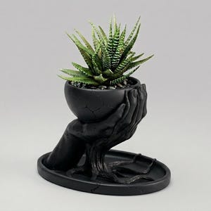 May include: A black decorative planter in the shape of a hand holding a small round pot. The pot contains a green succulent plant. The planter sits on a matching oval base.