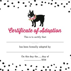 Puppy Adoption Sign and Certificate Printable INSTANT DOWNLOAD - Etsy