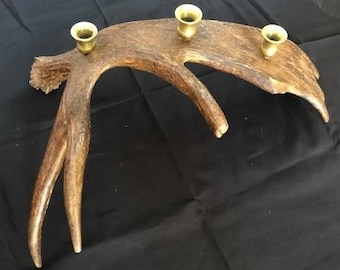 Moose Antler Candle Holder