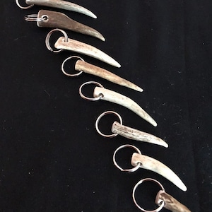 May include: Eight antler keychains with silver key rings. The antler keychains are all different sizes and shapes, and they are all natural in color.