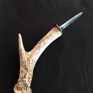 Antler Handled Oyster Knife image 2