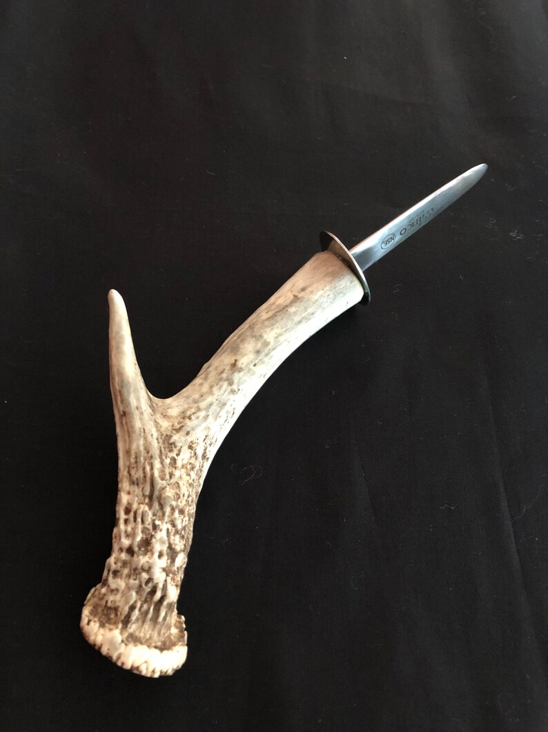 Antler Handled Oyster Knife image 2