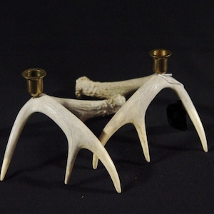 Antler Candle Holders - set of 2
