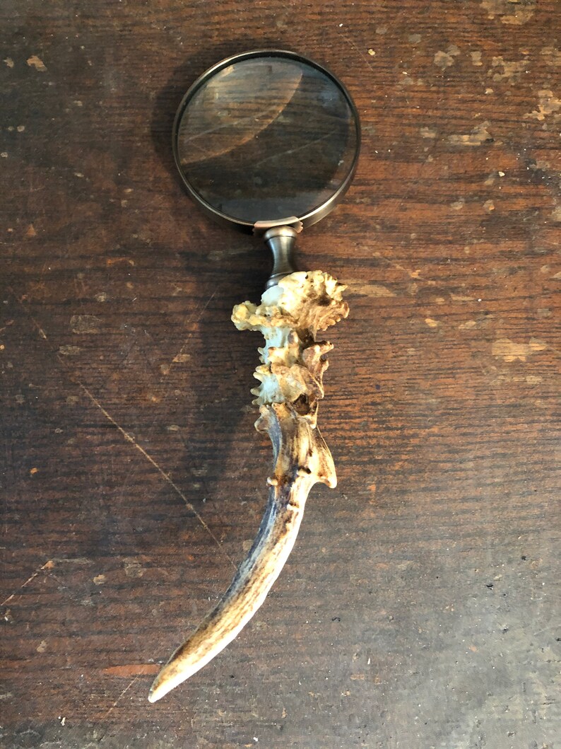 Composite Antler Magnifying Glass main image 0