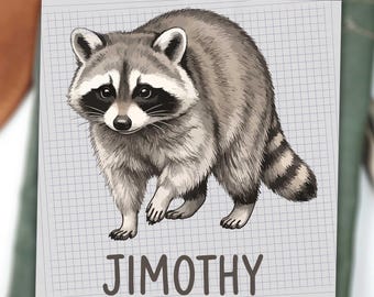 Jimothy Raccoon DTF Transfer Ready to Press, Funny Cute Trash Panda Heat Transfer, Custom Name DIY Iron On Decal