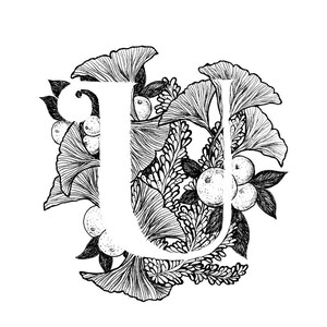 Letter U print - Alphabet, Calligraphy, Typography, Monogram, Flowers - Black and White ink art print