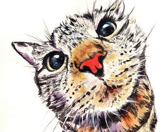 Silly cat, pet portrait - fisheye, colourful, curious, original or print, watercolour painting, 8x8"