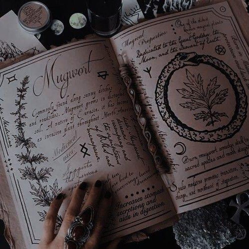 Może przedstawiać: Otwarta książka z ręcznie pisanym tekstem i ilustracjami, z napisem "Mugwort". Na stronach leży kryształowa r&oacute;żdżka, widoczna jest dłoń z dużym pierścieniem. Temat jest mistyczny i czarowniczy.