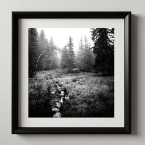 Peut inclure: Impression encadrée en noir et blanc d'une scène de forêt. Un sentier pavé mène à travers de hautes herbes et une forêt brumeuse, avec de grands conifères. L'impression est dans un cadre noir avec un passe-partout blanc.