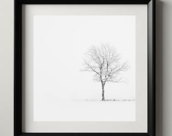 Solitaire | Fine Art Black and White Photography | Bare Tree in Snow | Scandinavian Minimalist Wall Art | Luxury Home Decor | Digital Down