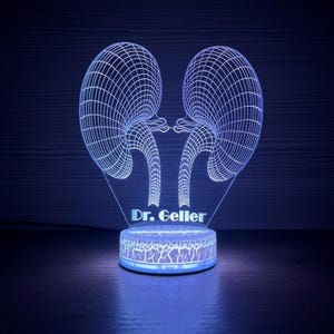 Op de afbeelding: Blauwe LED-lamp met een 3D-draadframe ontwerp van twee nieren. De lamp heeft een rechthoekige basis met een textuurpatroon en de tekst "Dr. Geller". De lamp straalt een zachte blauwe gloed uit.