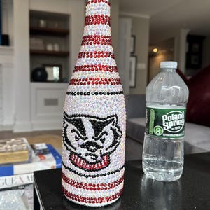 College Decor Bottle - Personalized to your School - Wisconsin