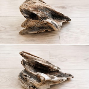 May include: A piece of weathered driftwood with a rough, textured surface. The wood displays natural shades of light tan, grey, and dark brown, featuring organic curves, deep crevices, and a jagged, uneven structure shaped by exposure to the elements.