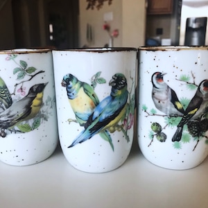 May include: Three white ceramic mugs with bird illustrations. Each mug features a different bird design in vibrant colors, set against a speckled background. The rims have a brown, distressed finish.