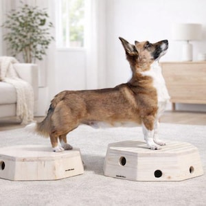 Target Placeboard aus Holz für Hunde - ruhiges Hundetraining, Basisarbeit & Agility - ProPod Base 9
