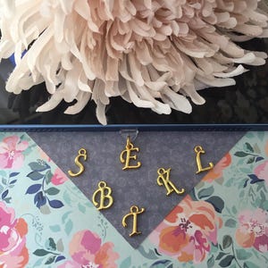 May include: Gold-coloured alphabet charms, including the letters S, E, B, T, K, and L, are displayed against a floral background. A large, light pink flower is visible in the background. The charms are hanging from a clear plastic strip.