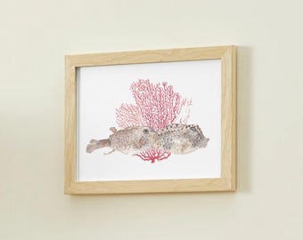 Impressão artística em aquarela de peixes gêmeos de coral: pôster emoldurado com qualidade de museu