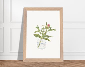 Impressão artística de peônia em aquarela - pôster emoldurado com papel fosco de qualidade de museu