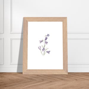 Könnte beinhalten: Ein gerahmter Druck mit einer Aquarellillustration von lila Glockenblumen. Das Kunstwerk befindet sich vor einem weißen Hintergrund und ist in einem hellbraunen Holzrahmen gerahmt. Der Rahmen lehnt an einer weißen Wand und einem Holzboden.