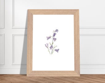 Aquarela de pequenos sinos azuis - Impressão artística botânica emoldurada