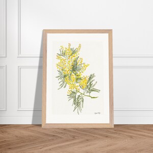 Mimosa Blossom Watercolor Art Print - Framed Botanical Wall Art for Living Room