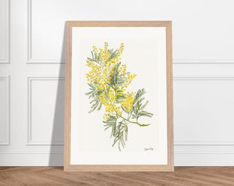 Impressão artística em aquarela de flor de mimosa - Arte de parede botânica emoldurada para sala de estar