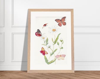 Impressão artística em aquarela de borboleta e margarida: papel emoldurado com qualidade de museu