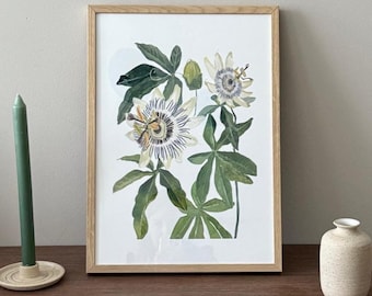 Impressão artística em aquarela de flor da paixão: pôster artístico emoldurado