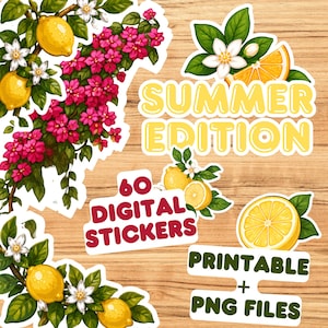 Può includere: Adesivi digitali a tema estivo. L'immagine presenta illustrazioni di limoni, fiori e il testo "Summer Edition". Include il testo "60 Digital Stickers" e "Printable + PNG Files".