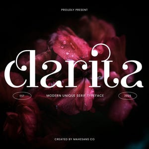 Clarita - Modern Serif Font: Unique Ligatures - Canva, Cricut, Logo Font