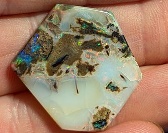 Virgin Valley Nevada Wood Opal - 20.5 Ct.- Rare Material