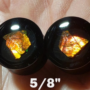 Ear Gauge Plugs 5/8 Inch Size = 16 mm - Solid Black Acrylic - Natural Canadian Ammolite In Epoxy Resin - One Pair