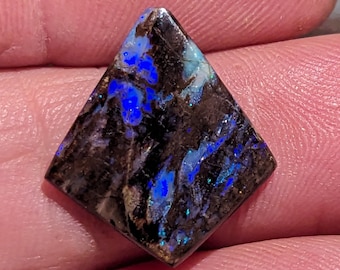 Virgin Valley Nevada Wood Opal - 5.1 Ct.- Rare Material
